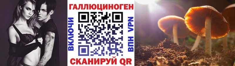 Галлюциногенные грибы прущие грибы Невельск